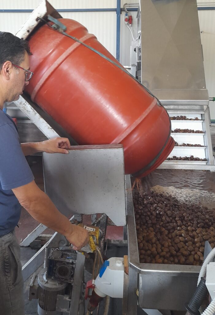 KAPA OLIVE FARM 20240711_101114