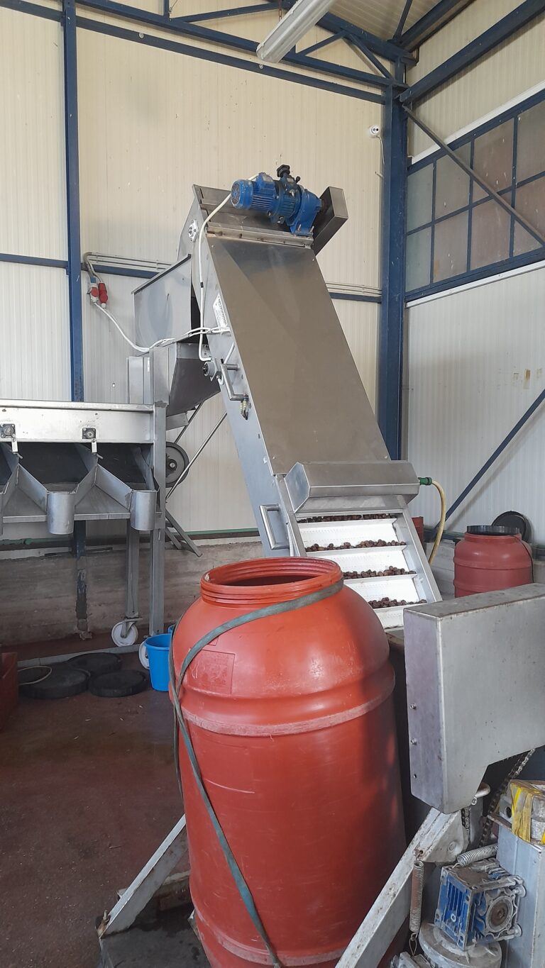 KAPA OLIVE FARM20240711_100847